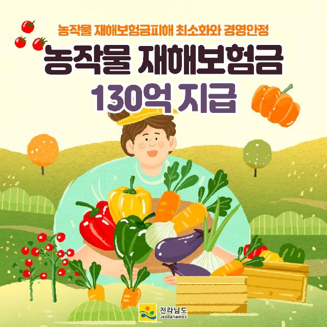 농작물 재해보험금 130억 지급!