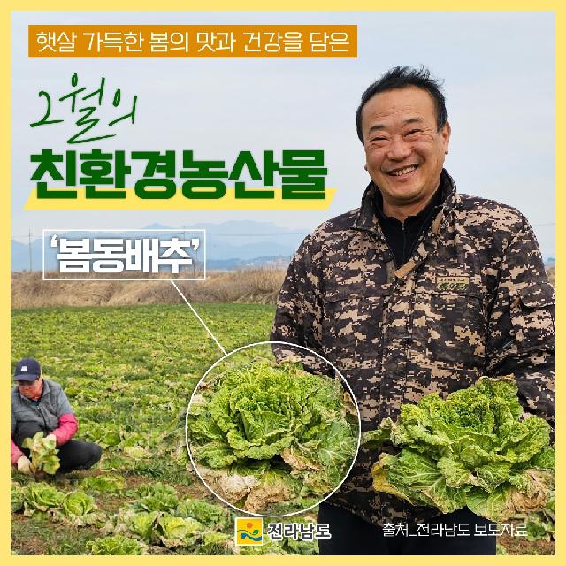 2월의 친환경농산물 - 봄동배추