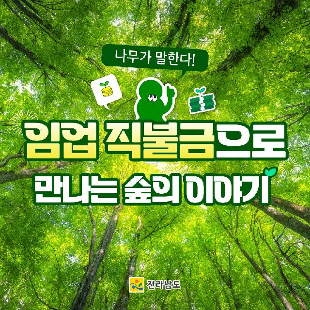 임업 산림 공익 직불금으로 만나는 숲의 이야기