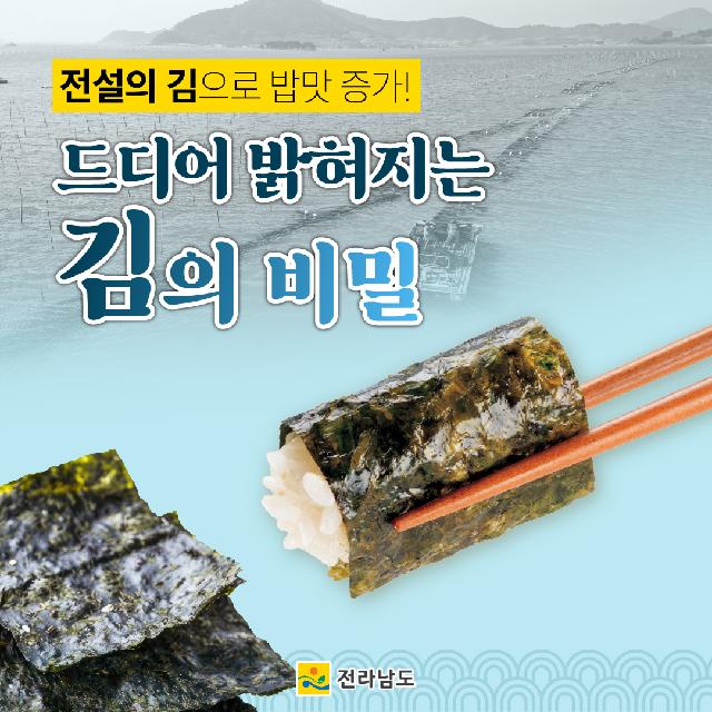 김 of Legend, 전라남도의 김