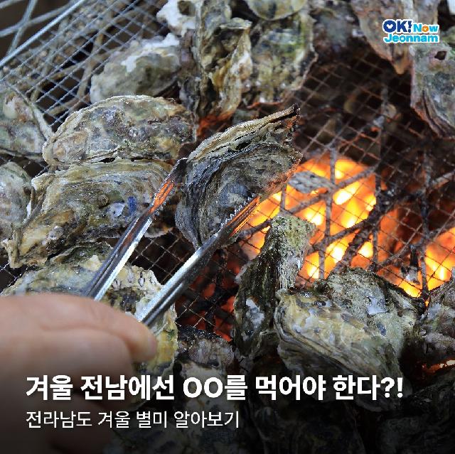 겨울 전남에선 OO을 먹어야 한다?! 전라남도 겨울 별미