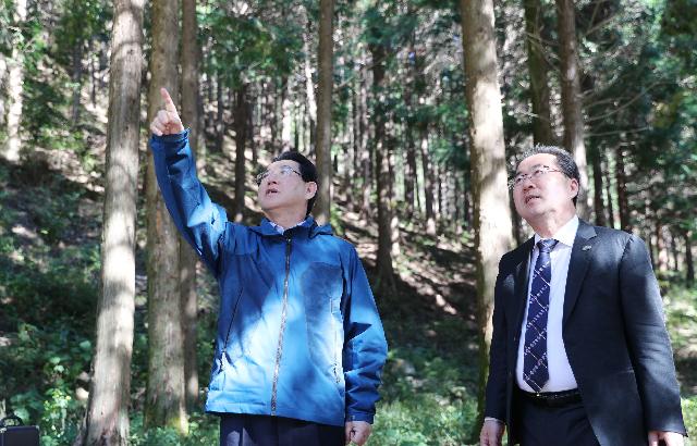 순천 용계산 기적의 숲 조성사업 현장