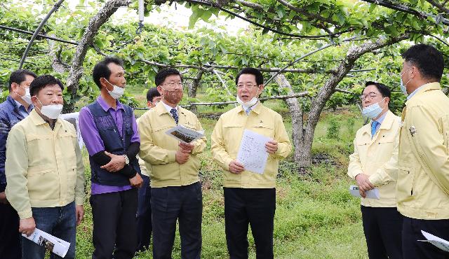 나주 배 저온피해 현장방문