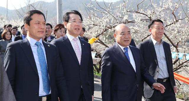 제21회 광양매화축제